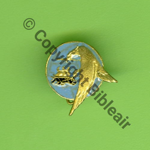 A1165NH Demi insigne EA cadre GI SALON DORE  DrP Bol prison Dos lisse Src.Y.GENTY 4Eur05.24 